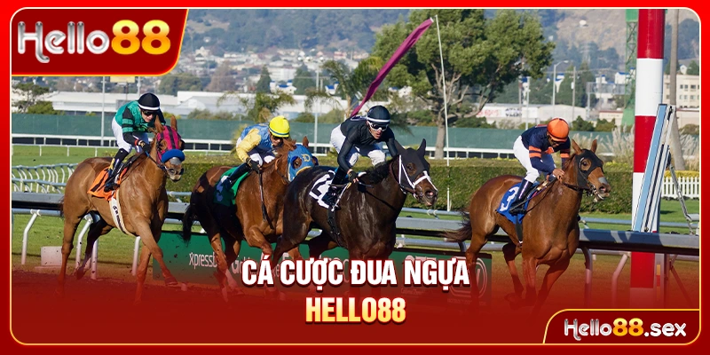 Cá cược đua ngựa Hello88