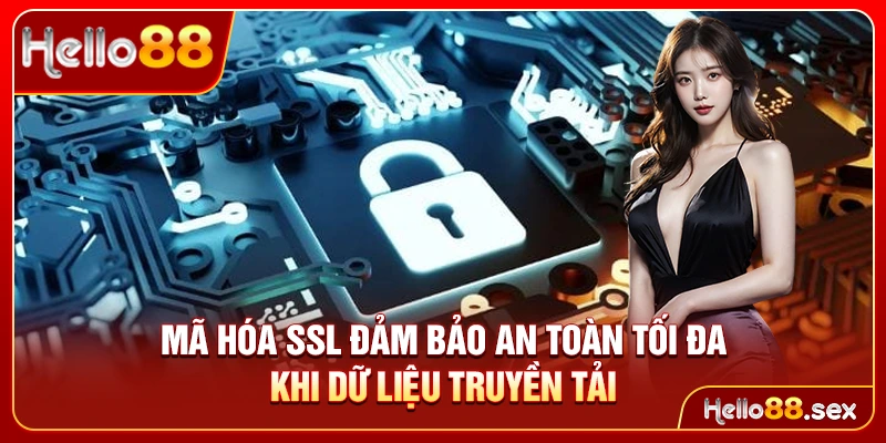 Mã hóa SSL đảm bảo an toàn tối đa khi dữ liệu truyền tải