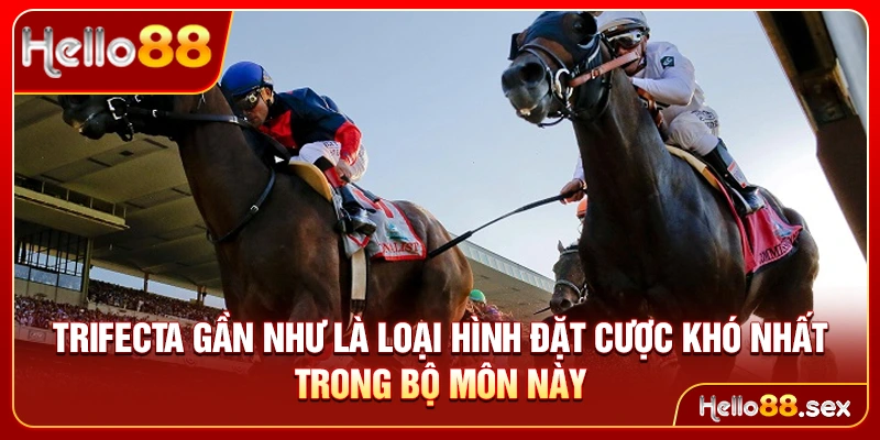 Trifecta gần như là loại hình đặt cược khó nhất trong bộ môn này